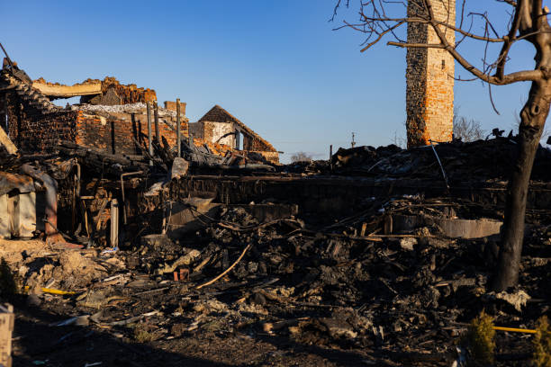 Reliable Fire Damage Assessment contractor in Somerville, TX by Fire Damage Doption