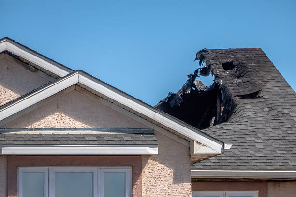 Top rated local Fire Damage Assessment specialists in Somerville, TX